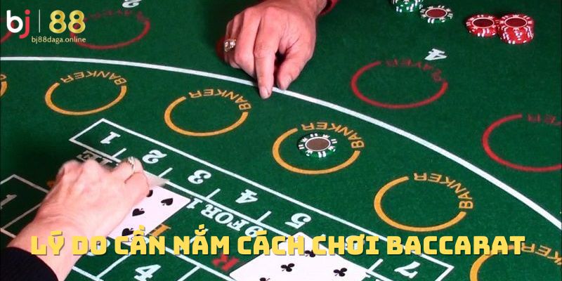 Lý do cần nắm bắt cách chơi Baccarat